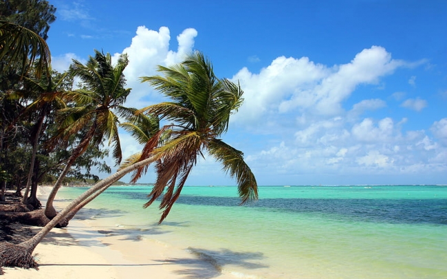 PUNTA CANA & BAYAHIBE