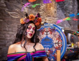 PLAYA DEL CARMEN / COSTA MUJERES / TULUM